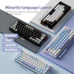 Mechanical Keyboard Manufacturer - 60% Portable Gasket Ergonomic