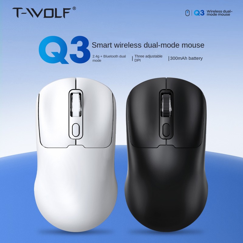 Wireless Mouse Manufacturer - Cheap Q3 Rechargeable Dual Mode