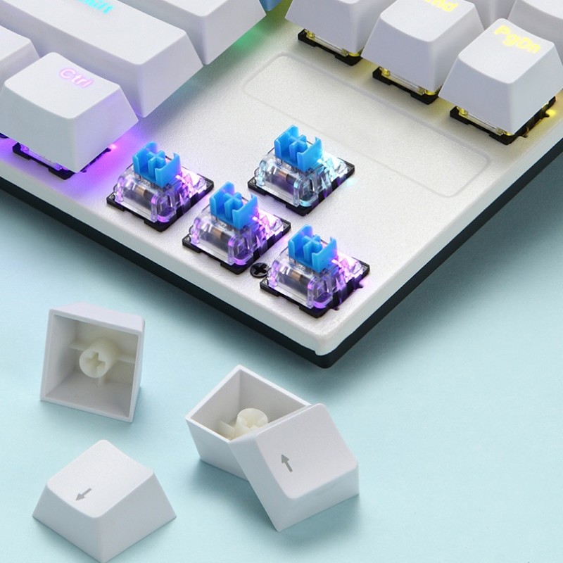 Mechanical Keyboard Factory - Full Key Anti-Ghosting TKL