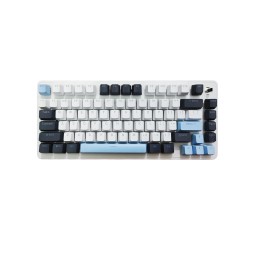 Mechanical Keyboard Supplier - Laptop Portable 82-Key