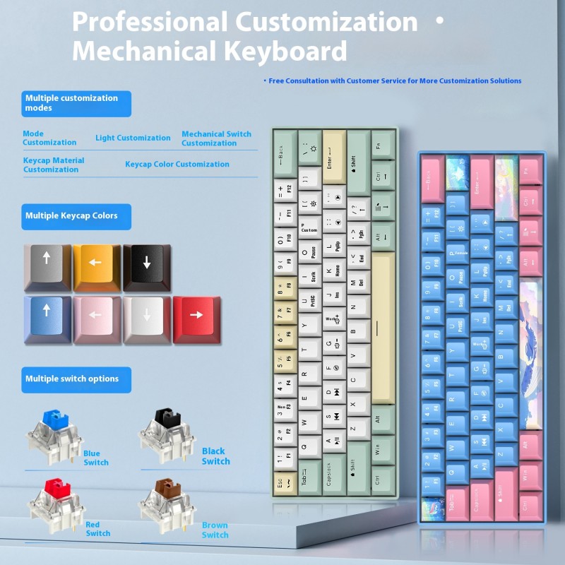 Mechanical Keyboard Factory - Hot Plug 68 Key Wired Green Shaft
