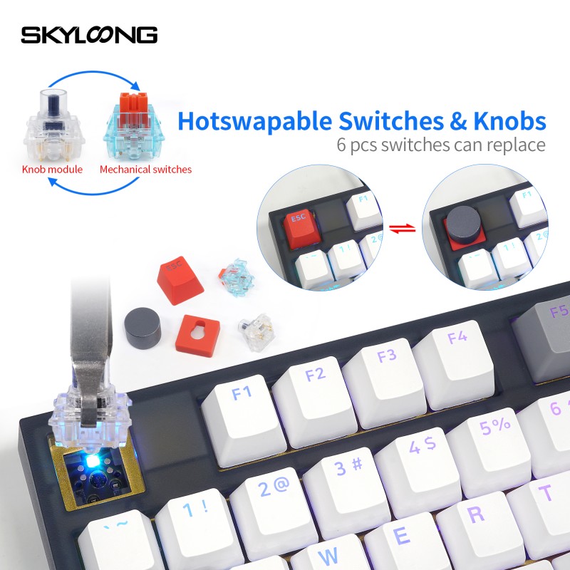 RGB Keyboard Factory - SKYLOONG GK75 3 Modes RGB Backlist