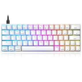 Theme Keyboard Supplier - SKYLOONG BOO Theme 60% Gateron