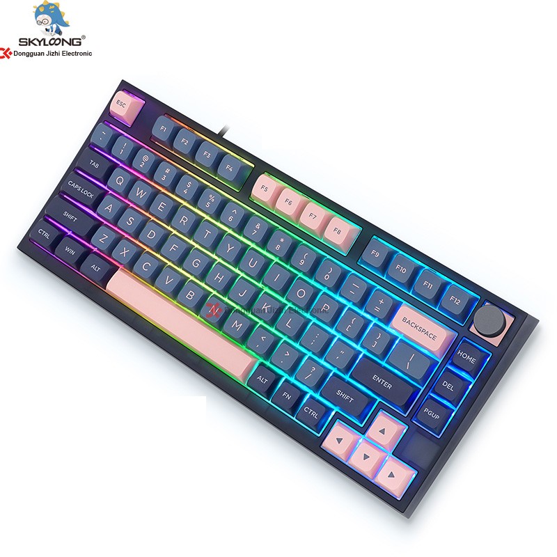 PBT Keycaps Supplier - 2023 Skyloong PBT Keycaps Gateron