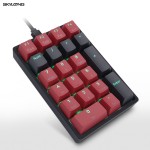 Skyloong keyboard 20%