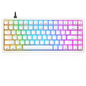 Theme Keyboard Factory - Skyloong Keyboard Usb Wired 96 Keys