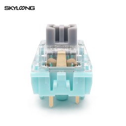 Silent Switch Factory - Hot Selling Skyloong Glacier Silent