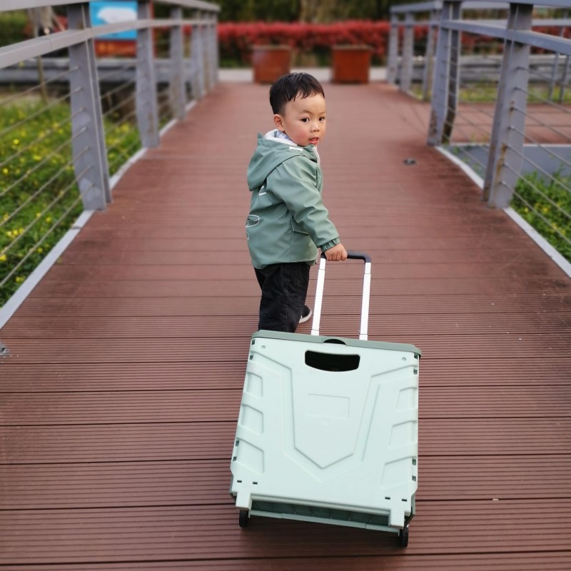 Collapsible Cart Manufacturer - Aluminium Alloy Folding Shopping Trolley