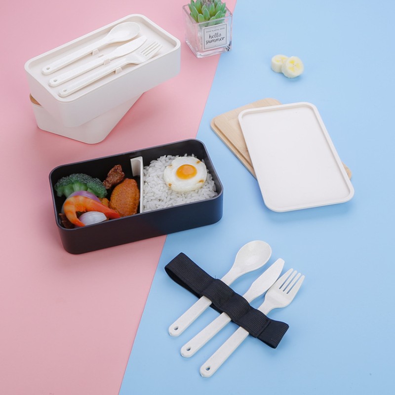 Food Container Supplier - Plastic Food Lunch Box One