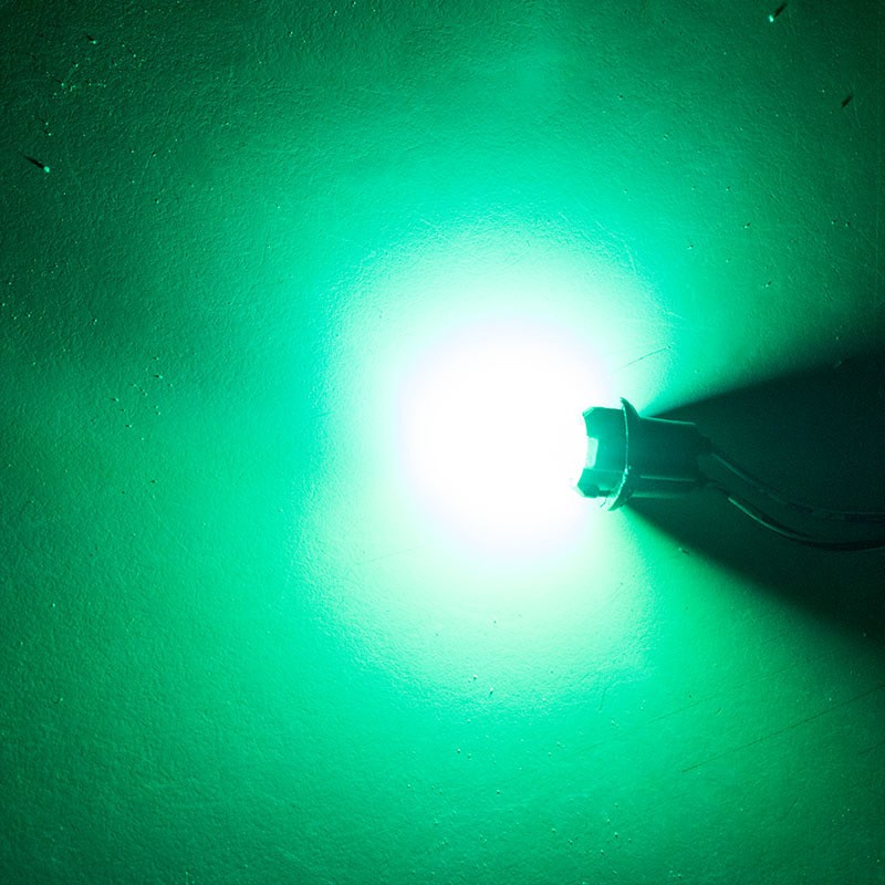 T10 LED Lamp Manufacturer - COB 12SMD Waterproof 12V Silicone