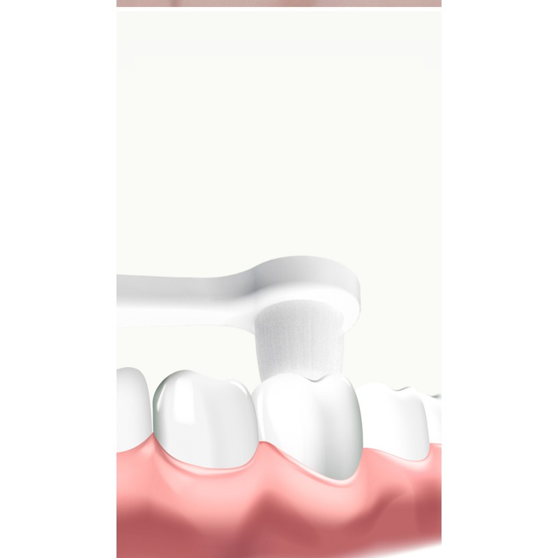 Milk Powder Box Factory - 4 Layer Frosted Box with Handle Customizable