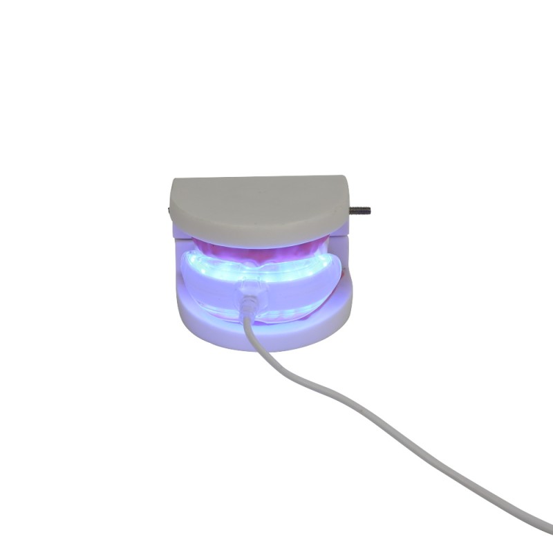 Teeth Whitening LED Light Supplier - USB Adapter Mouth Tray