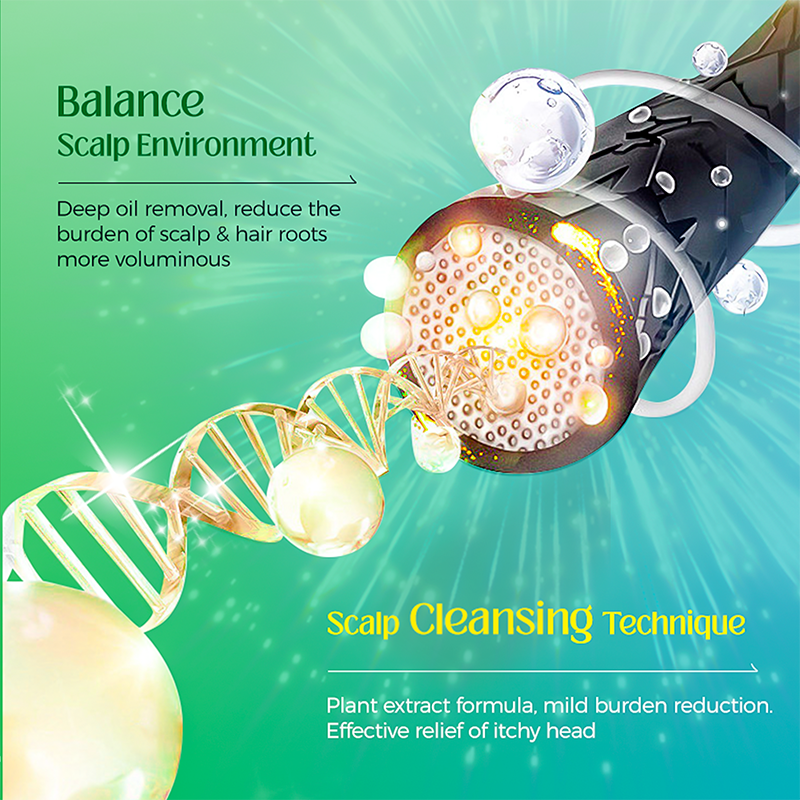 Hair Care Set Factory - Black Woman Shea Butter Afro Shampoo Set