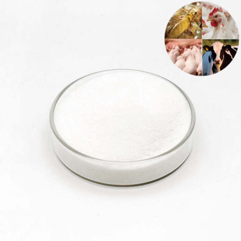 Betaine Hydrochloride for Fish Feed Vitamin Supplements for Animal Growth and Food Promotion