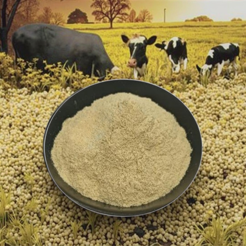 High Quality 2000 Mg/kg Selenium Yeast Powder Premium Feed Additives Organic Selenium for Animals Enhancing Immunity