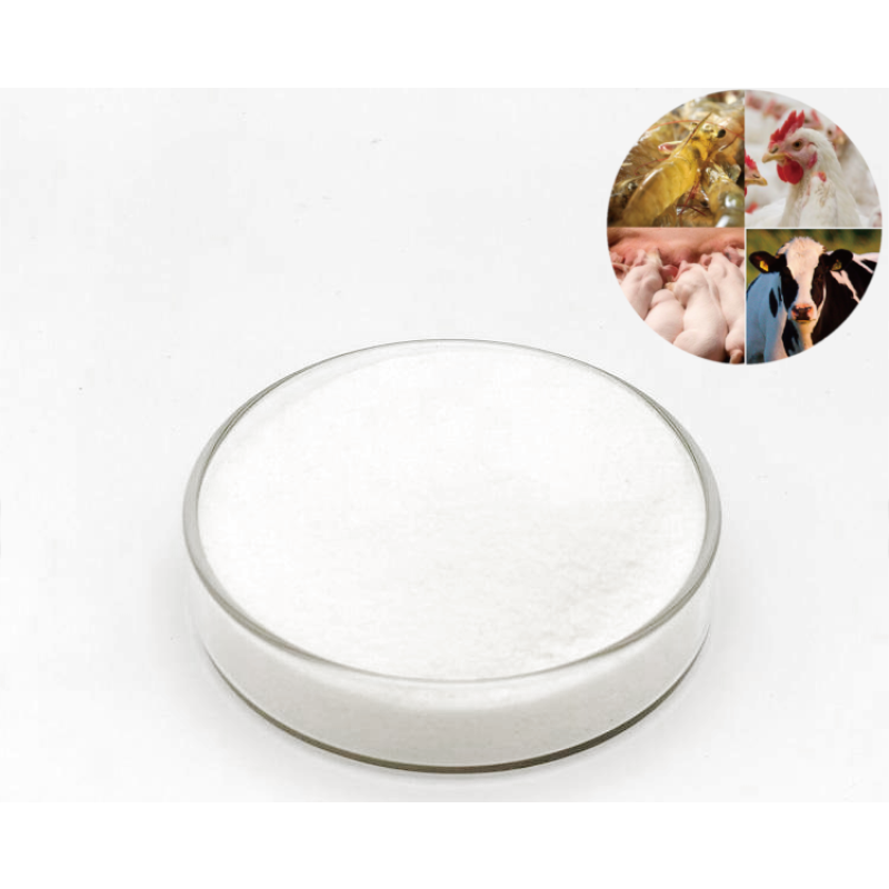 High Quality 98% Betaine Feed Additives Mixed for Animal Sustenance for Fish Shrimp Pig Chicken Other Species