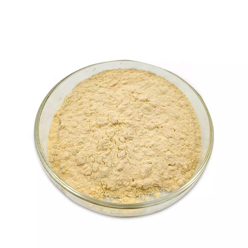 High Quality Industrial-Grade Lipase Enzyme Powder Factory Price Bulk Food Enzymes