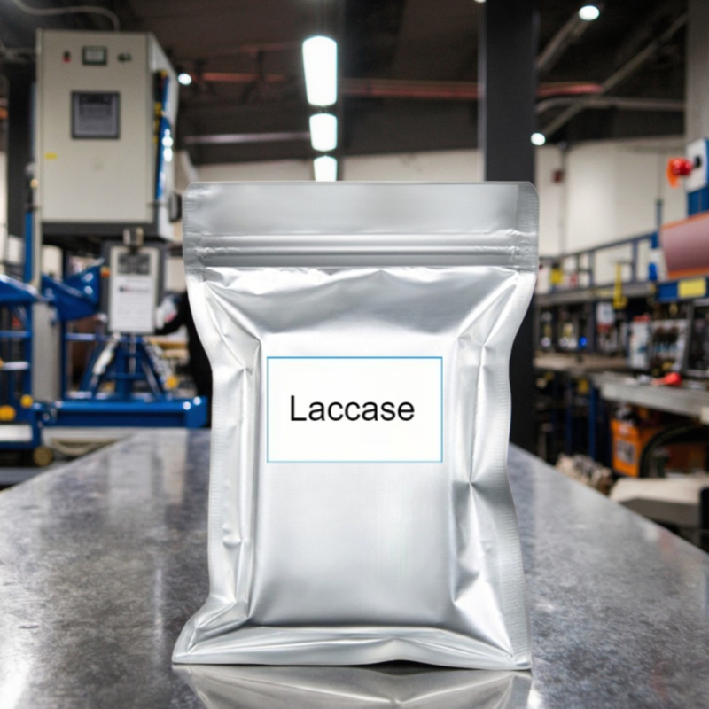 Joyzyme-L17 Industrial Enzyme Powder Laccase for Waste Water Treatment Paper Making Textile Juice Clarification Baking Liquid