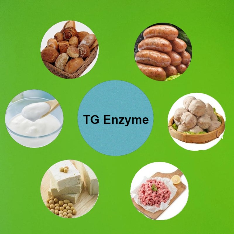 Food Grade Transglutaminase 100 U/g TG Enzyme CAS 80146-85-6 for Food Processing