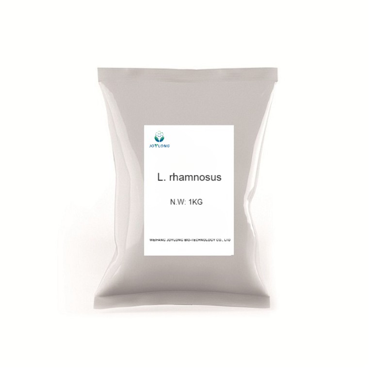 600 Billion CFU/g Probiotics Lactobacillus Rhamnosus High Activity Bacterial Probiotic Lactobacillus Rhamnosus Powder