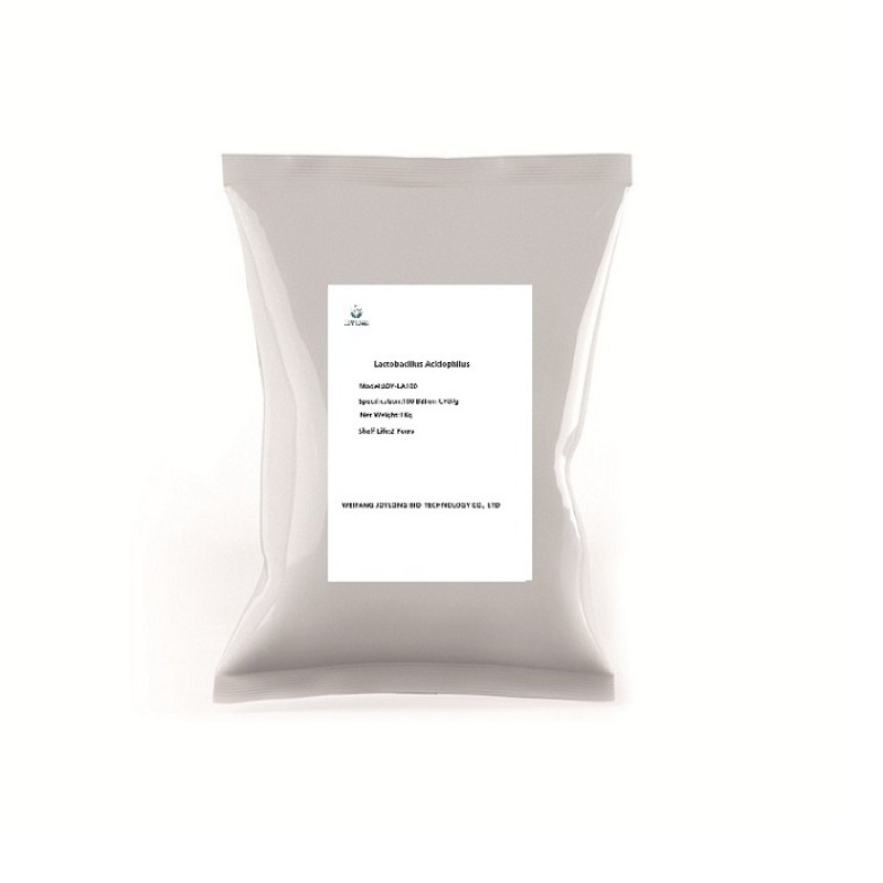 High Activity Bacterial Probiotic Lactobacillus Acidophilus Powder 200 Billion CFU/g Premium Probiotics Supplement