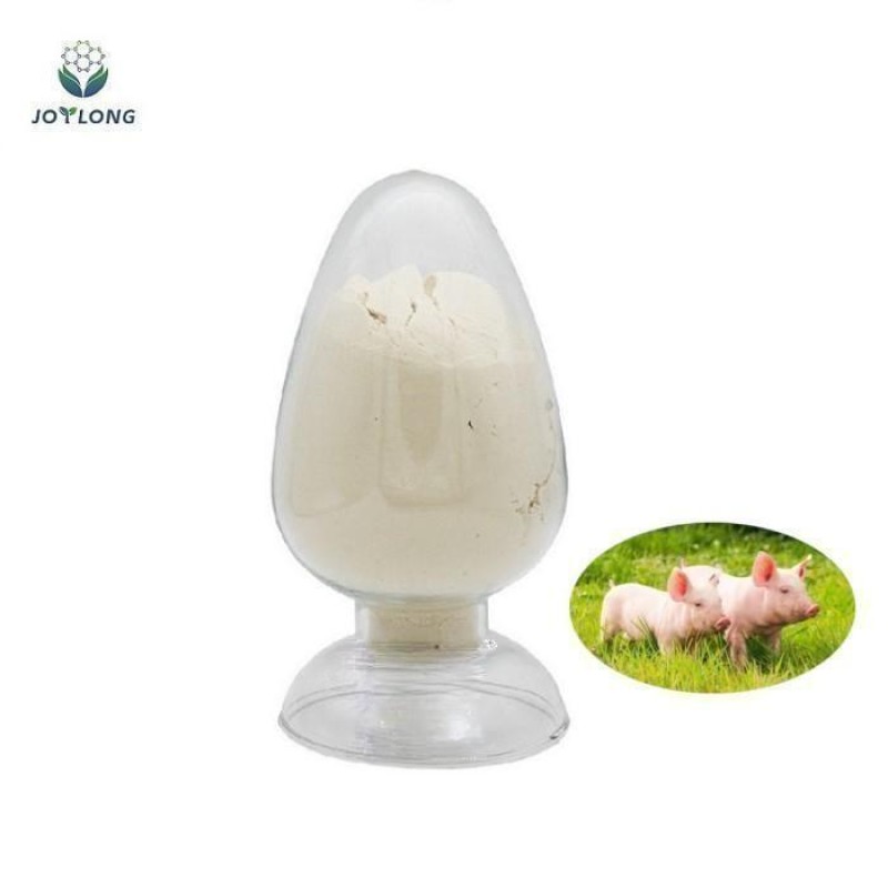 Betaine Hcl 95% Powder for Fishing and Animal Feed Additives Inducing Food and Promoting Growth