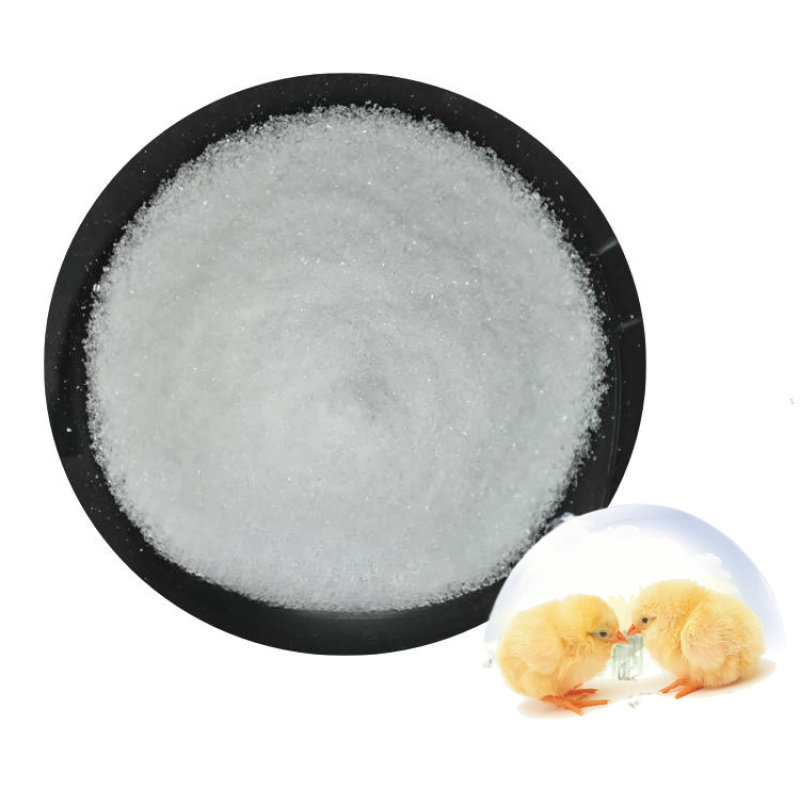 Betaine Hcl 95% Powder for Fishing and Animal Feed Additives Inducing Food and Promoting Growth
