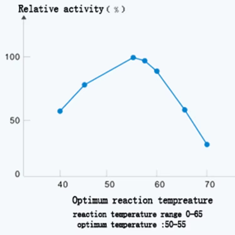 Transglutaminase Enzyme Food Grade Additive Preparations for Meat Glue Thickeners Glutamyltransferase Transglutaminase