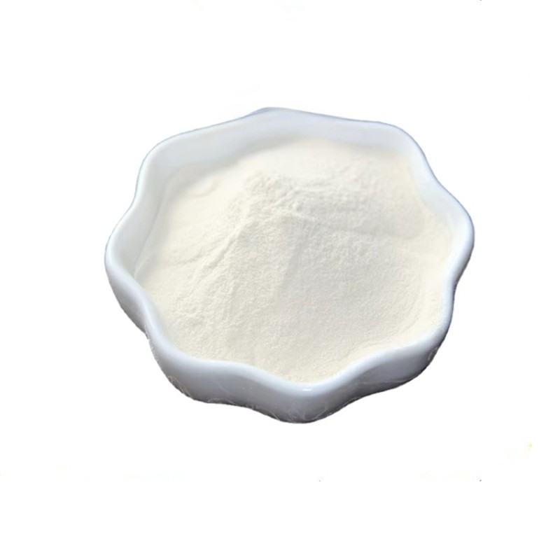600 Billion CFU/g Probiotics Lactobacillus Rhamnosus High Activity Bacterial Probiotic Lactobacillus Rhamnosus Powder