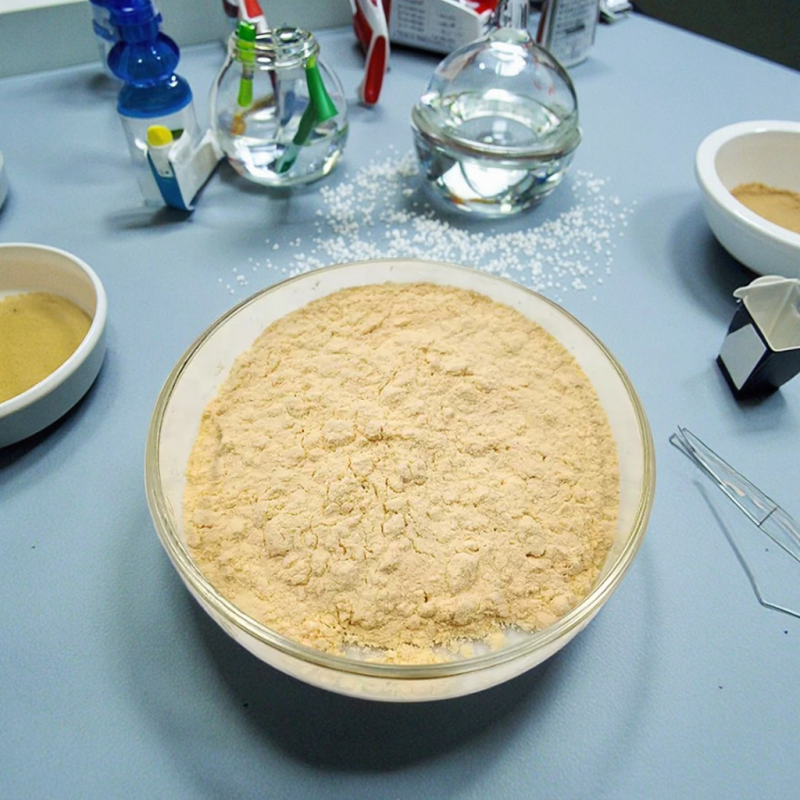 Bio Enzyme Septic Sewage Treating Aerobic Anaerobic Enzymes Bacteria for Sewage Treatment Plant