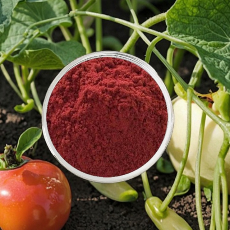 Natural 10% Lycopene Powder Healthcare Supplement Antioxidant Food Grade Tomato Extract Daily Chemicals