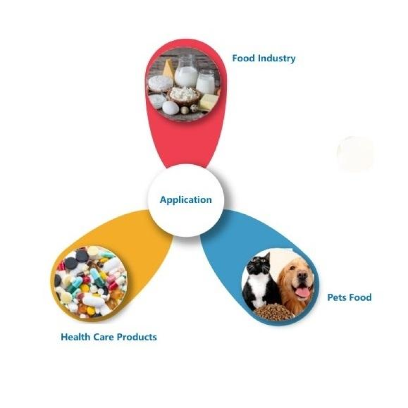 600 Billion CFU/g Probiotics Lactobacillus Rhamnosus High Activity Bacterial Probiotic Lactobacillus Rhamnosus Powder