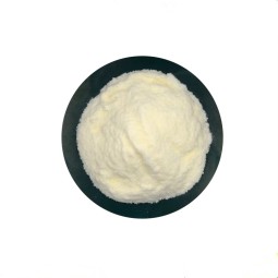 600 Billion CFU/g Probiotics Lactobacillus Rhamnosus High Activity Bacterial Probiotic Lactobacillus Rhamnosus Powder