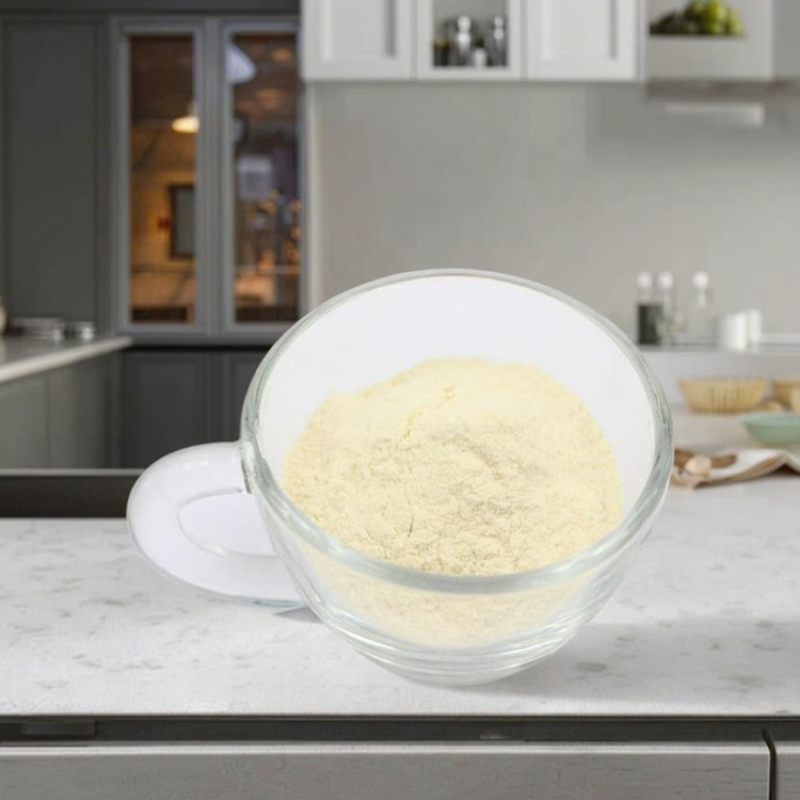 10-200 Billion CFU/g Probiotics Lactobacillus Reuteri Food Grade White to Light Yellow Powder with 2 Year Shelf Life