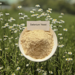 High Quality 2000 Mg/kg Selenium Yeast Powder Premium Feed Additives Organic Selenium for Animals Enhancing Immunity