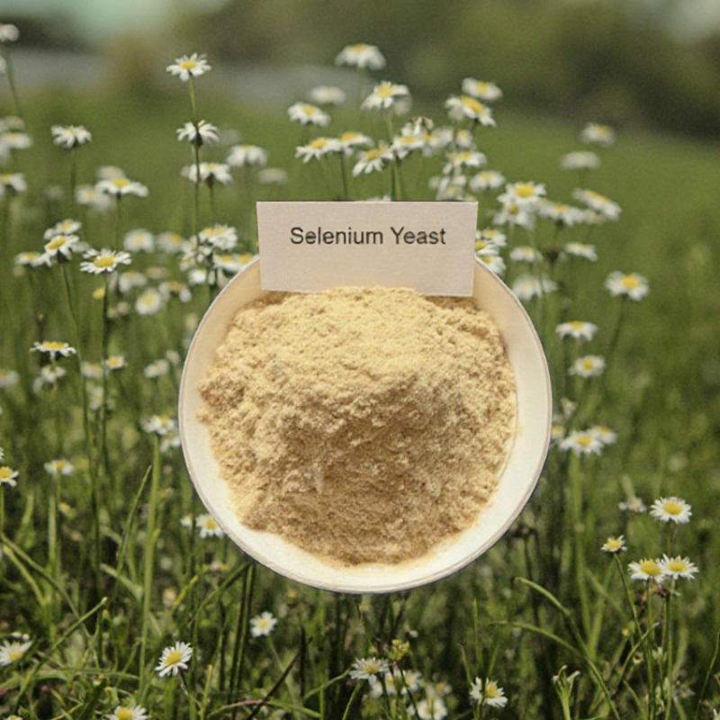 High Quality 2000 Mg/kg Selenium Yeast Powder Premium Feed Additives Organic Selenium for Animals Enhancing Immunity
