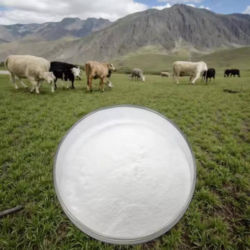 Feed Grade 95% Betaine HCL Growth-Promoting Vitamins Powder Additives CAS 107-43-7 Betaine Anhydrous Feed Additives