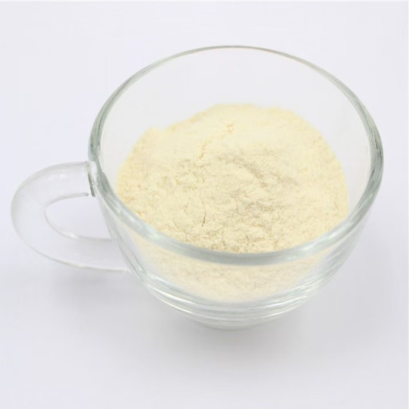 600 Billion CFU/g Probiotics Lactobacillus Rhamnosus High Activity Bacterial Probiotic Lactobacillus Rhamnosus Powder