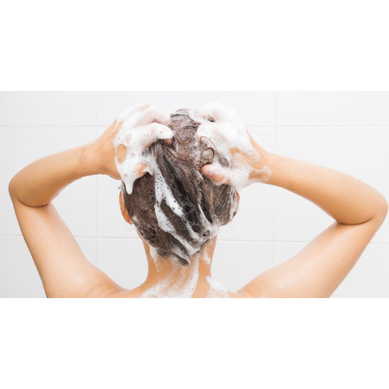 Shampoo Supplier - Pure Plant Extract Formulation Shampoo