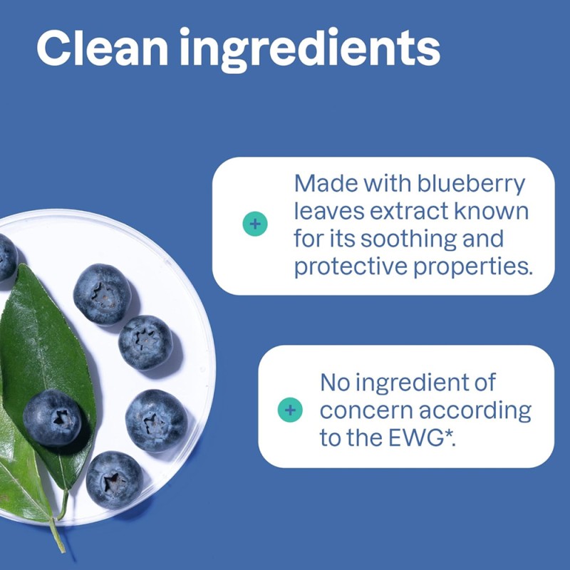 Hand Wash Factory - 295ml Blueberry Foaming Natural Hand Wash