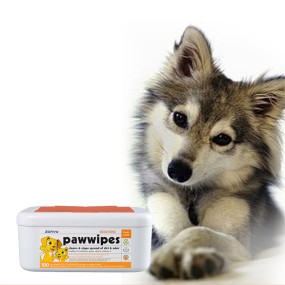 Pet Wipes Factory - 100 Sheets Paw Wet Wipes Strong Absorbent