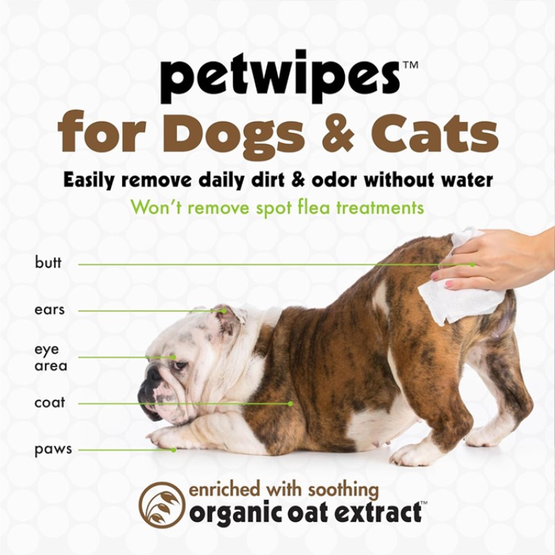 Pet Wipes Manufacturer - 200-Count Lavender Calming Petwipes
