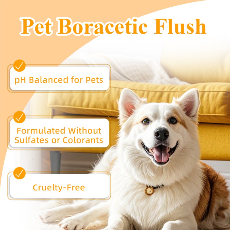 Pet Ear Cleaner Factory - 100ml Boracetic Antifungal Flush