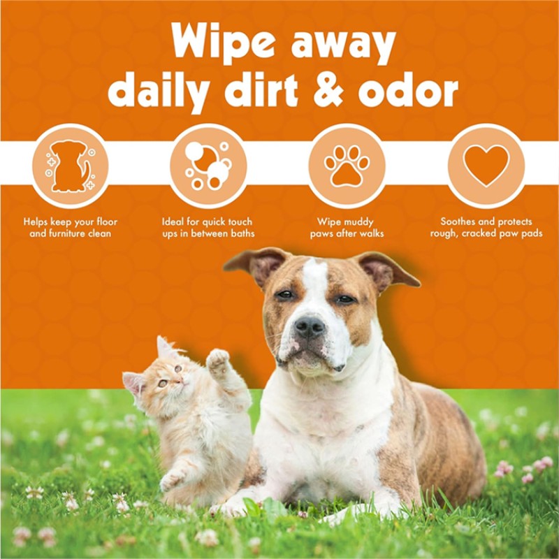 Pet Wipes Factory - 100 Sheets Paw Wet Wipes Strong Absorbent