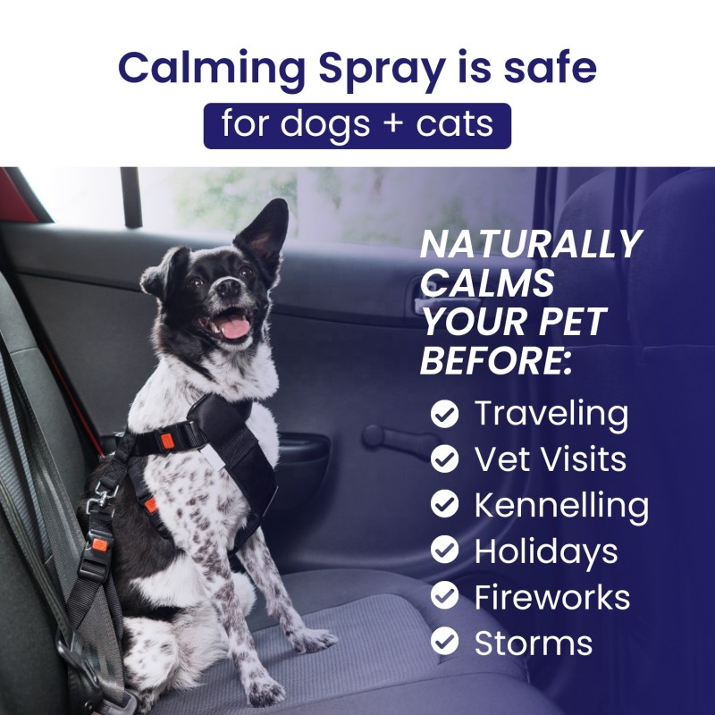 Pet Calming Spray Manufacturer - Anti Anxiety Stress Relief Drug Free