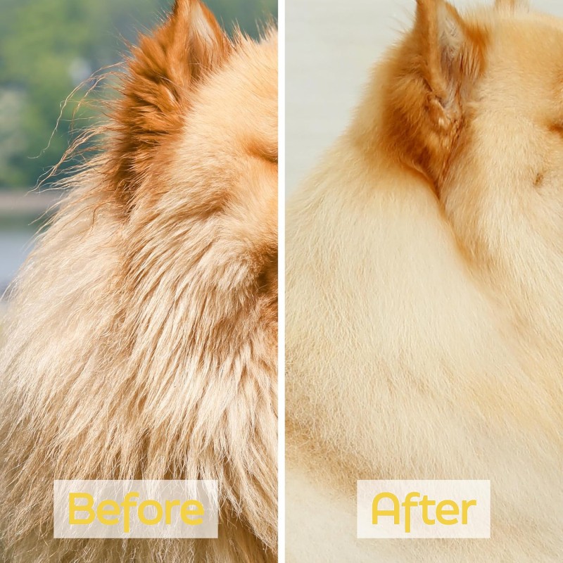 Pet Shampoo Supplier - OEM ODM Oatmeal Itchy Skin Deodorization