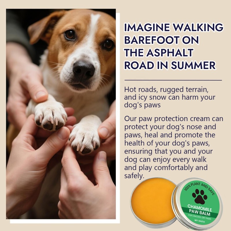 Pet Claw Balm Supplier - Organic Lick Safe Protect Heal