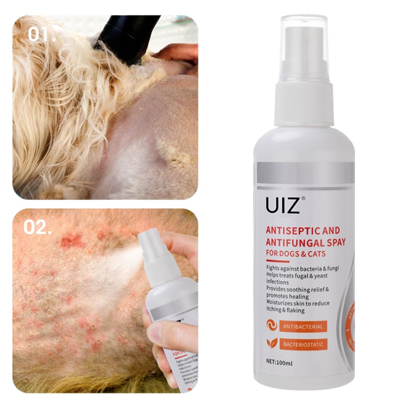 Pet Products Set Supplier - Cleaning Grooming Odor Eliminator Set