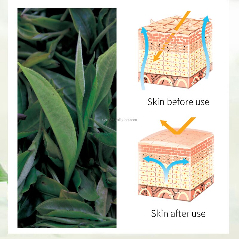 Tea Tree Oil Cream Manufacturer - OEM/ODM Wholesale Private Label Organic Anti Acne