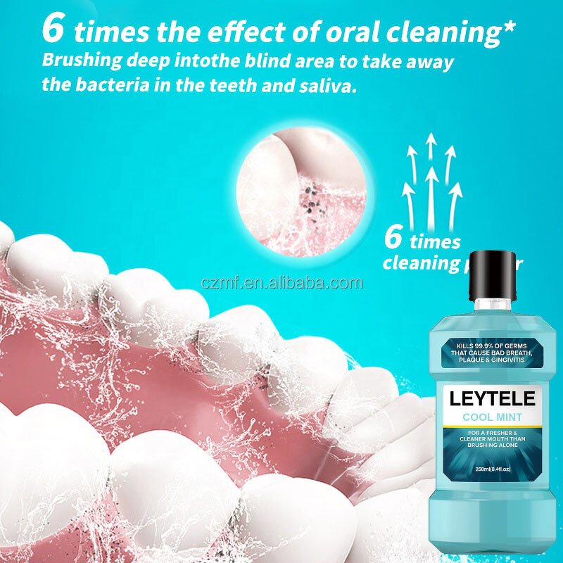 Whitening Toothpaste Manufacturer - OEM/ODM 2023 Hot Selling OEM Organic Mint Flavor